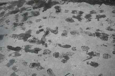 Доброе утро, Якутия!. 9 марта в Якутии небольшой снег пройдет в Ленском, Мирнинском, Томпонском, Усть-Майском и Верхоянском районах, на остальной территории осадков не ожидается