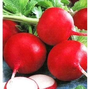 �����, ������� ������� ���� ������ � ������