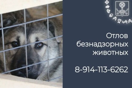 � ������ ������������ ����� ������������ �����