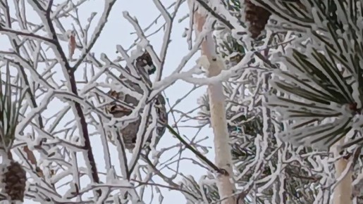 �������� ������� �������� �� ����� ����� ���������