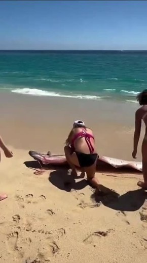 ���� �������� ������������� ���������� ��� ��������� �� ����� � ����-���-�����, �������