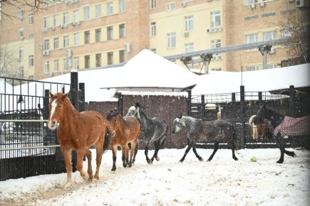 � �������� ������ ��-�� ��������� ����� ������ ������, ������ ������ ������� �����