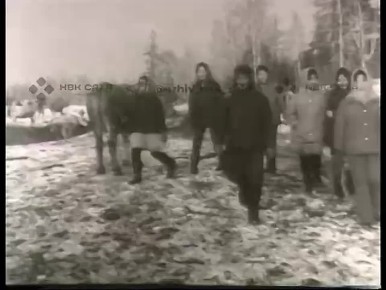 ���� ���� �������. � 1960 ���� �� ���������� ������������������� ���������, ����������� ����������� ������������ ������� �� ������ � ��������� ����������, ������� ���� ������� �������� � ������ ����������, ��� ����...