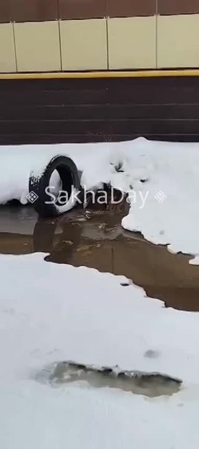 #����� ����� ����������� 24�2 ����� �����������, ������ �����