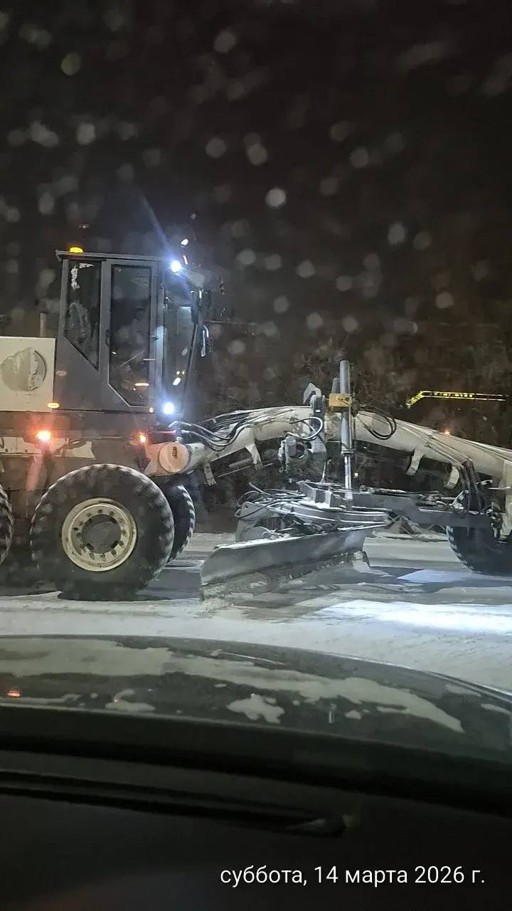 Кадры работ по срезке осевой