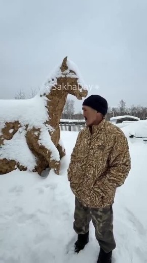 ��������: ���� ��������, ���� ���������� ���������� �������, ����� � �������� �� ������