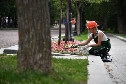 Жителей Якутска приглашают побороться за «Зеленый кубок столицы»