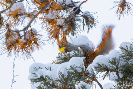 � ������ ������������ 0 �������� 16 �����