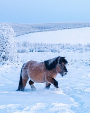 �������� ������ �� ����� ����� ��������� �����!