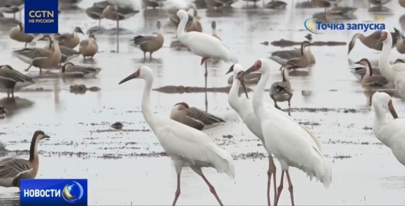 ��� ������ ���������� ��������� ��������� ������ � ����� ����������