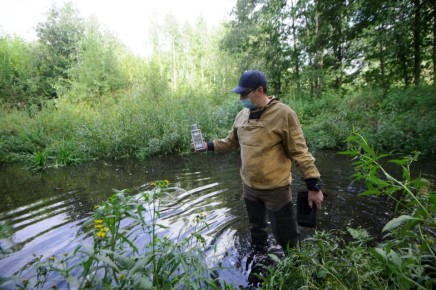 ����������� ���������� ����������� ���� �������� ������