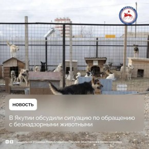 ����������� ������������ ������������� ���������� ������ ��������� ������ ��������� �������� �� �������� ��������� � ��������� ��� ���������� � �������� ������������� ������������� ������� � ��������� �������