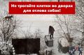 Жители Мирного мешают отлову собак: чем опасна такая «медвежья услуга»