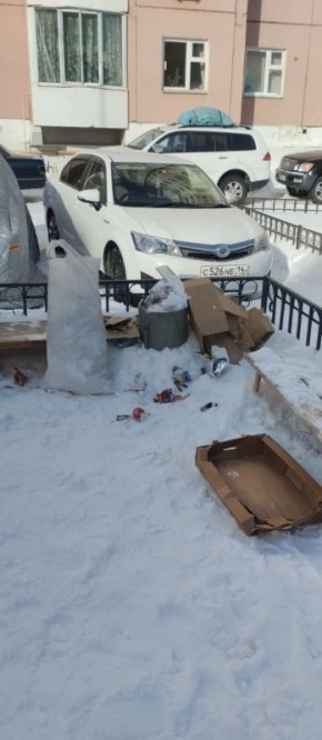 Муниципальные дворники – это настоящие хранители чистоты, которые своим примером показывают, как важна ответственность и любовь к своему делу