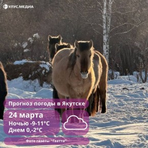 Снег и ветер 20 м/с: сводка погоды по районам Якутии на ближайшие сутки