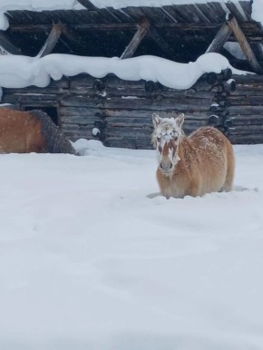 #Изглубинки. Вот она - весна в Кутане