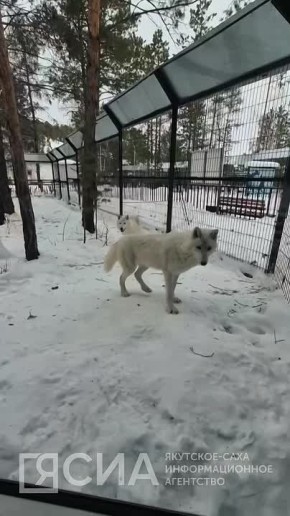 �� ����� �������� �� ������� ��� �� ��������� �������� ����� ����� ��������� ����������� �����?