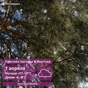 Жиганский и Нерюнгринский районы Якутии завтра накроет сильный ветер