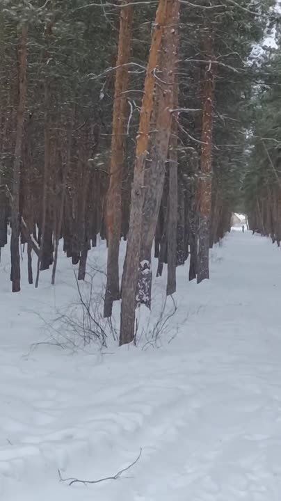 ��.SD !��������� � ���� ������� ����������, �� ����� �����