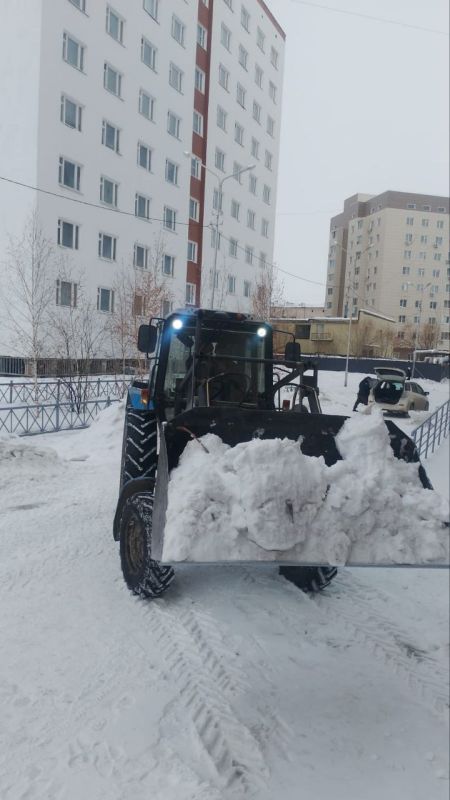 � ������ �������� ���������� ������� ����������� ������ �������� ����� �����