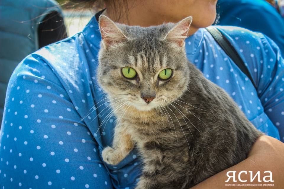 � ������� �������� ����� �� ������������ ��������� �����