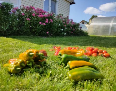 ������ ��� ������ ����������