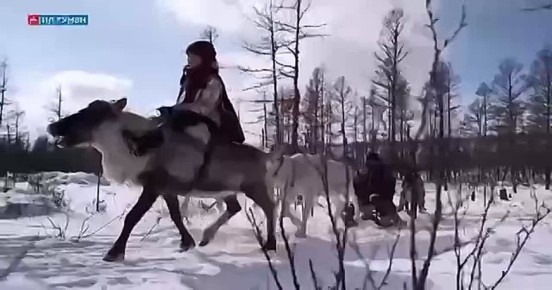 �������������� �������: ����� �������� ������� ������