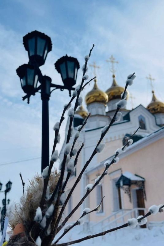 ������ ���������� ��������� ��������� ������ ������� �� �������