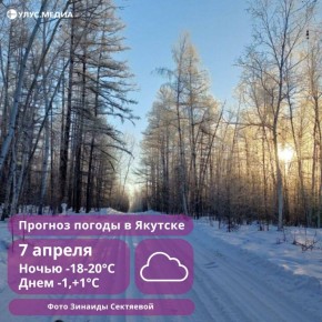 Штормовое предупреждение: в четырех районах Якутии ожидается ветер до 20 м/с