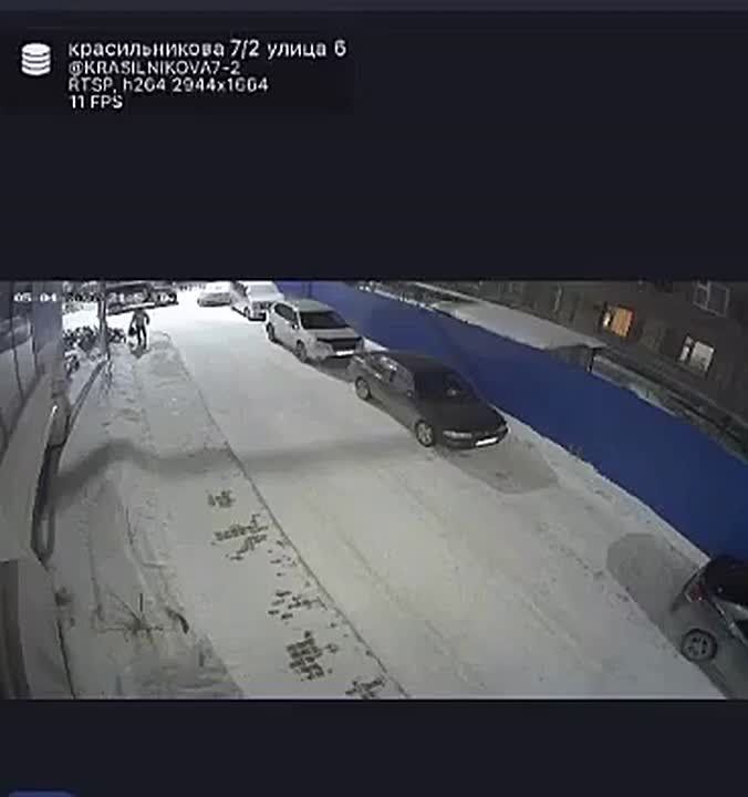 ������� ������� ������ �������