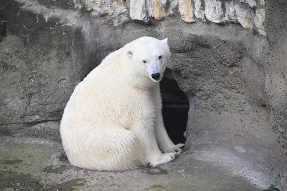 � ������ ����������� ����� ������ ������� � �����������