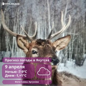 Штормовой ветер и метели: на Колыму и юг Якутии надвигается непогода