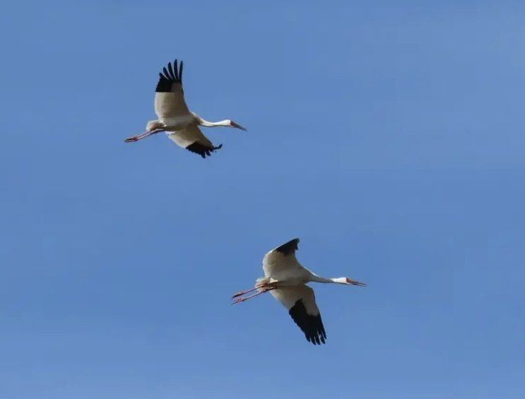 ������� ����������� ���� �������� � ������ ��� ��������� �������� � �������� ������