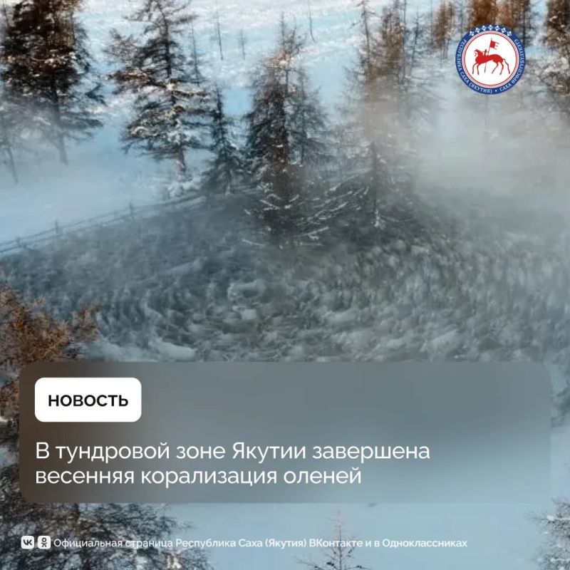 �������� ����������� ��������� ������ �� ���� �������������� ���������� ��������� ����, � ����� � �����-������������, �������� � ��������� ������