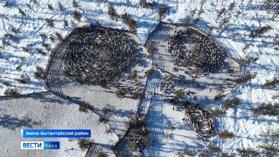 �������� ����������� ��������� ������ �� ���� �������������� ���������� ��������� ����, � ����� � �����-������������, �������� � ��������� ������