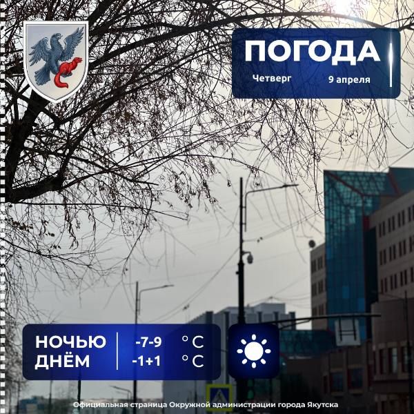 ������� ������ � ������� �� 9 ������