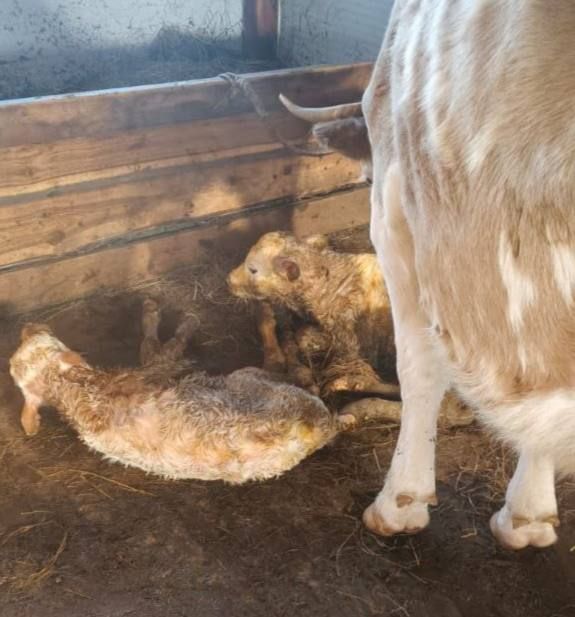 #���������������: � ������������ ������ �������� ������-���������