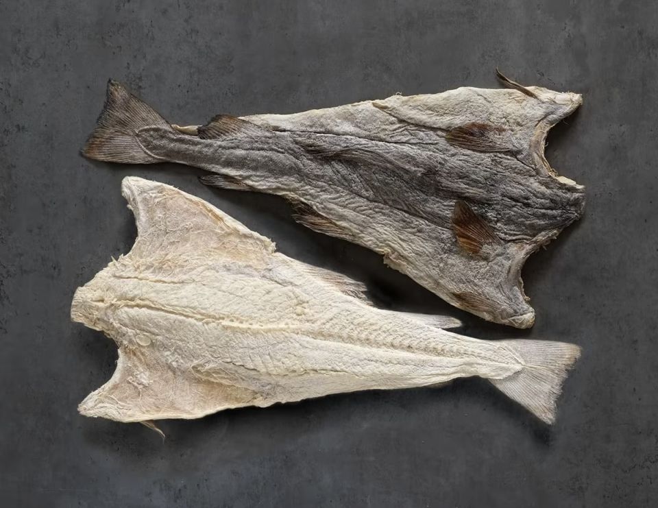 ������� � ������� ����: ���������������� �������� ������ �������