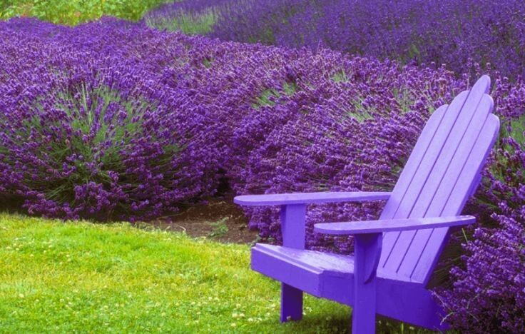 �� ������� � ��������: ����� ��� ������������� � ����� ������, � �� ������