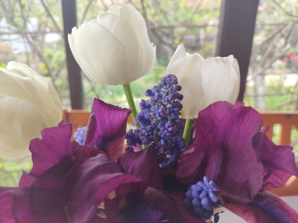 ���� ������ ������� ����: �������� ������ �� ����� ����� �������