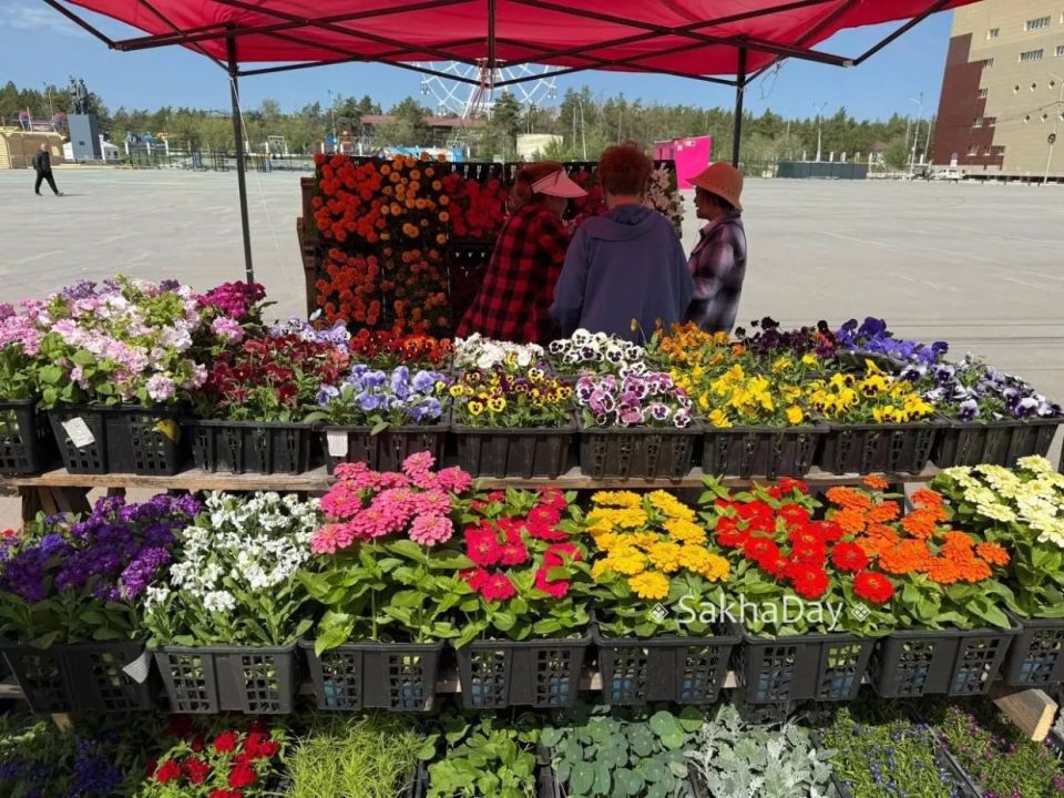 � ������� �������� ���������� ��������� ����������� ��������