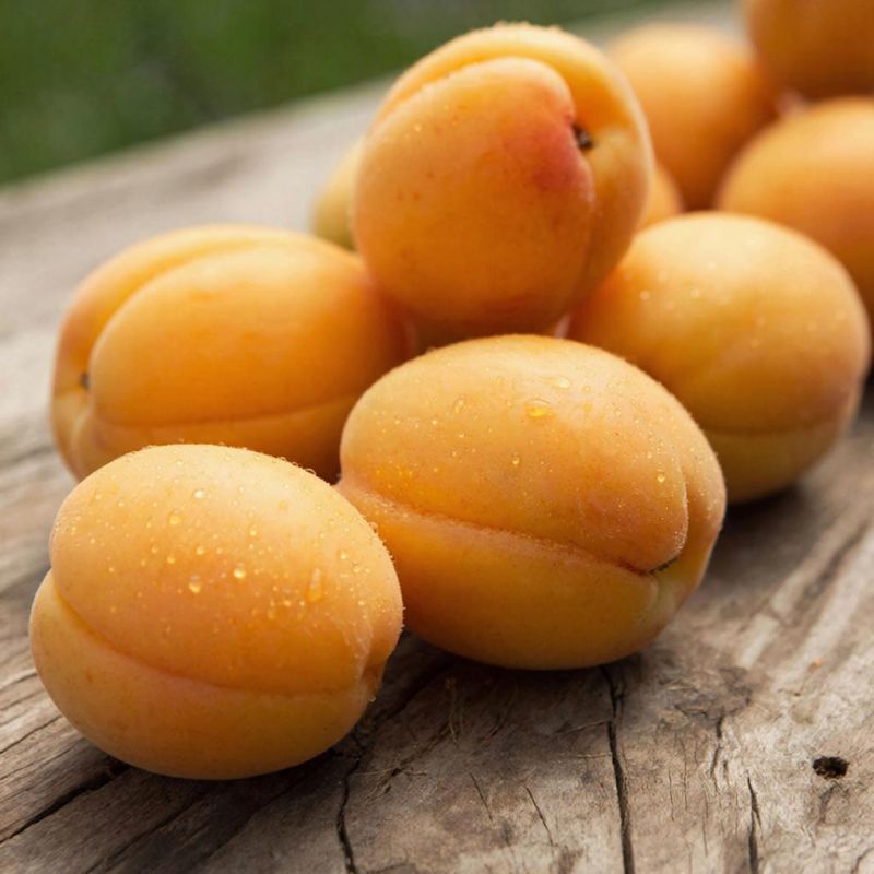 ������� ��������� ����������� ��������� � ������� ������������� ��������