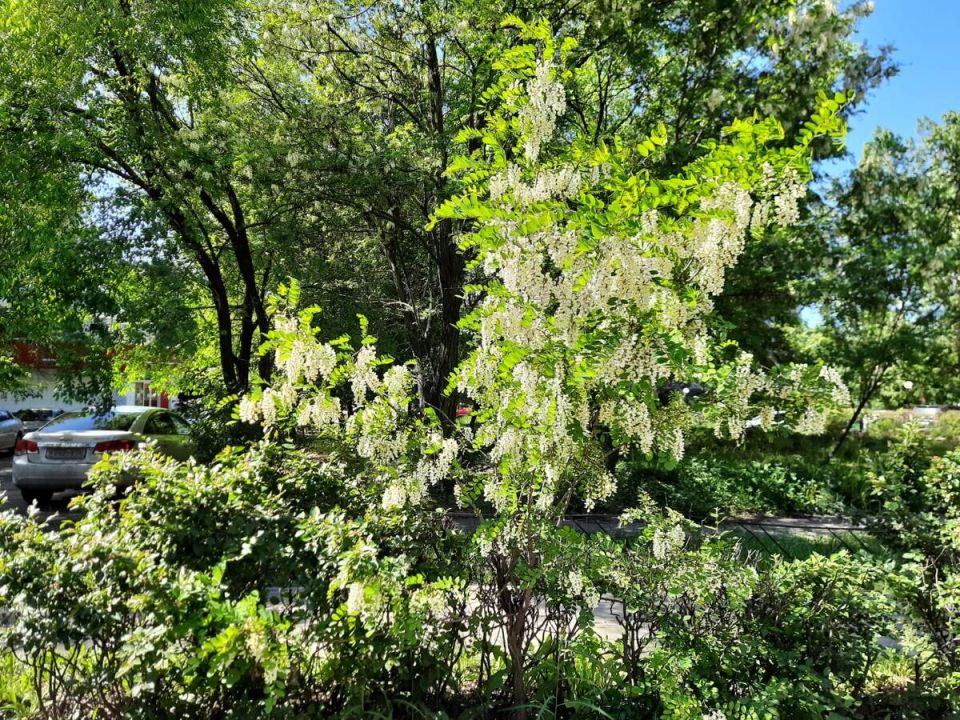 ��������� ���� ������ �������