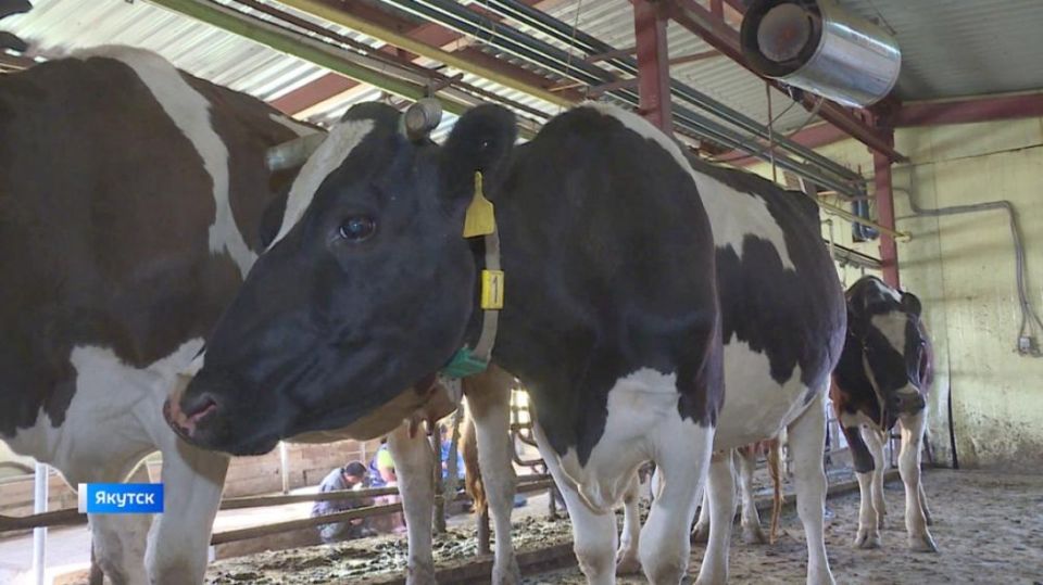 ������� ����� � ������ �������� ���������