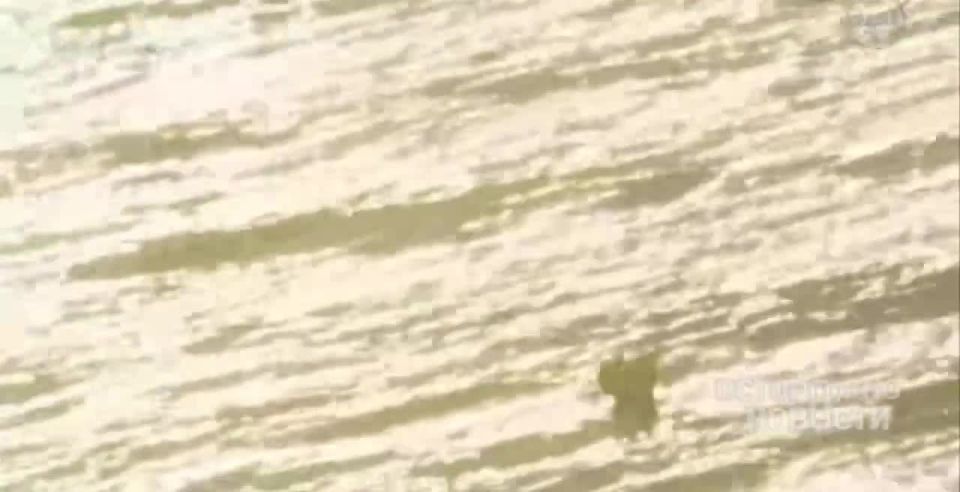 ������ ����� ����������� �� ����� ����������� NASA � ��� ������� �� ����� ��� 50 ��� ��������� ���� � ����