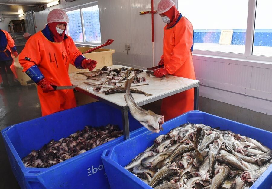 ����� ������ ���������: ��� ���������� �� ���������� ����� ����?