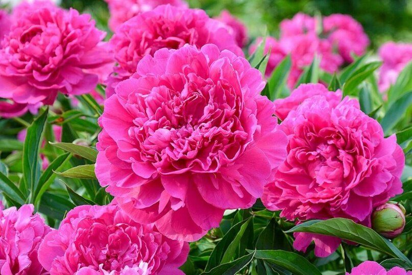 �����: ��� ���������� � �������� ������� ������, ����� ��������� �� �������