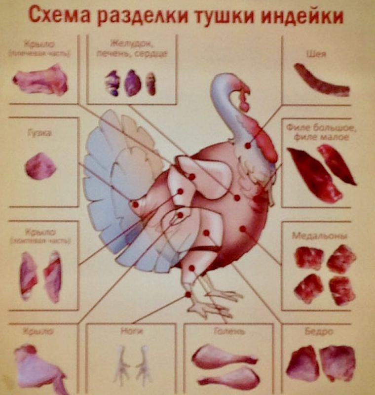 ������ ���� ������� ��� �������� � ����������