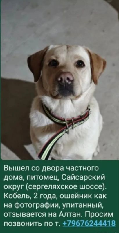 ������ �������, � ������ ����������� ������, �����: �������, ������� ��� �� ����������