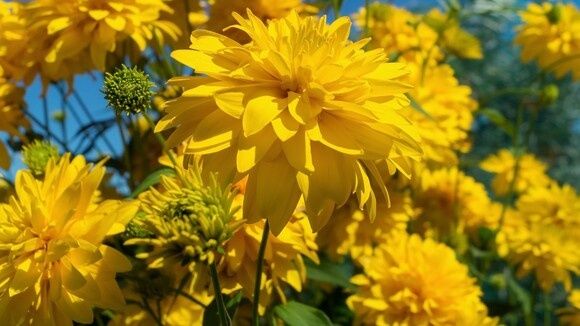 �������� ����� ��� �������: ����� �������� �������� ��� ����